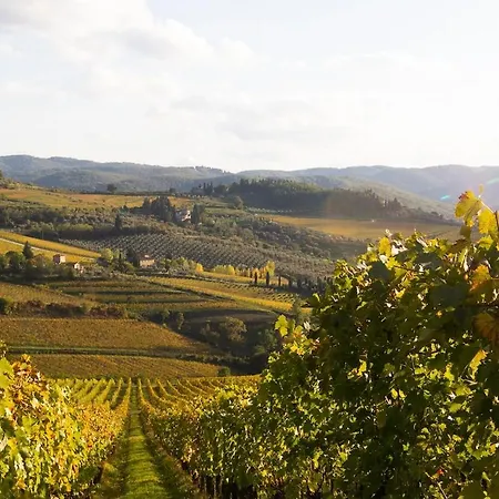 Rosso Del Chianti Al Centro Storico 1